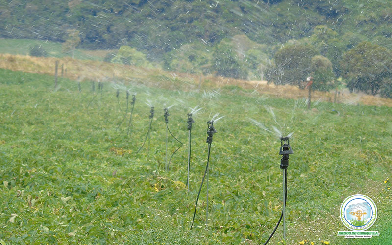 Sistemas de Irrigacion en Panamá por Riegos de Chiriquí