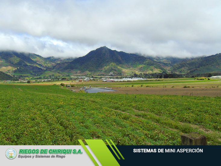 Riegos de Chiriquí S.A Ofrecemos Sistemas de Mini Asperción en Panamá