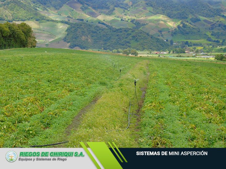 Riegos de Chiriquí S.A Ofrecemos Sistemas de Mini Asperción en Panamá