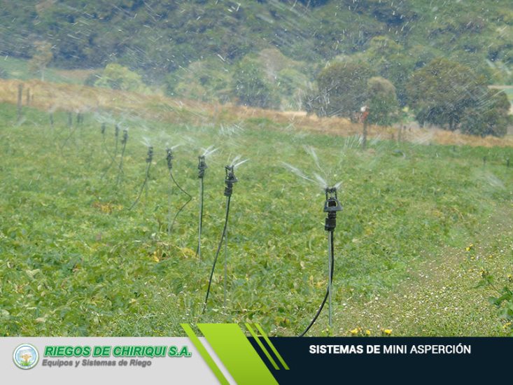 Riegos de Chiriquí S.A Ofrecemos Sistemas de Mini Asperción en Panamá